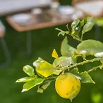 Lemon House - 400m From The - Wifi * 阿尔布费拉