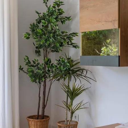 Lemon House - 400m From The - Wifi Apartment